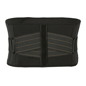 Lumbar Waist Support