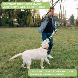 Retractable Dog Training Stick | Interactive Play & Exercise Toy