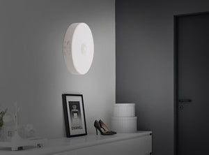 Rechargeable LED Light