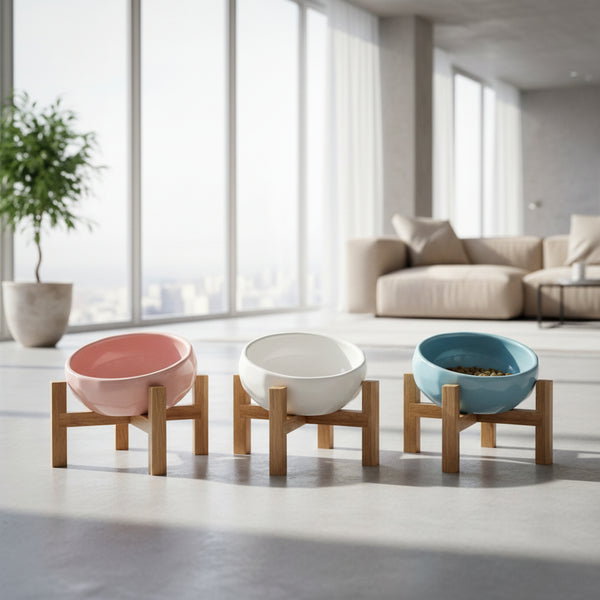 tilted pet bowl with cat eating food