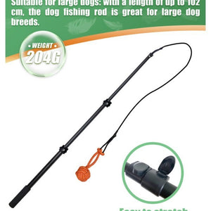 Retractable Dog Training Stick | Interactive Play & Exercise Toy