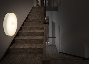 Rechargeable LED Light