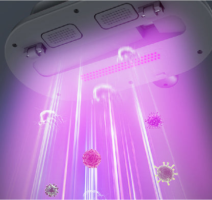 UV bed vacuum cleaner electric mite remover