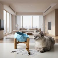 Pet bowl oblique mouth cat bowl food bowl dog bowl method bucket food bowl