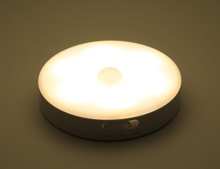Rechargeable LED Light