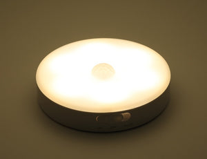 Rechargeable LED Light