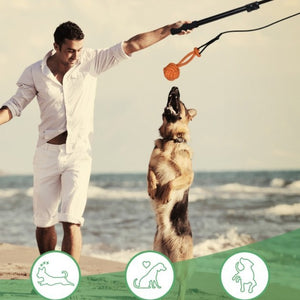 Retractable Dog Training Stick | Interactive Play & Exercise Toy