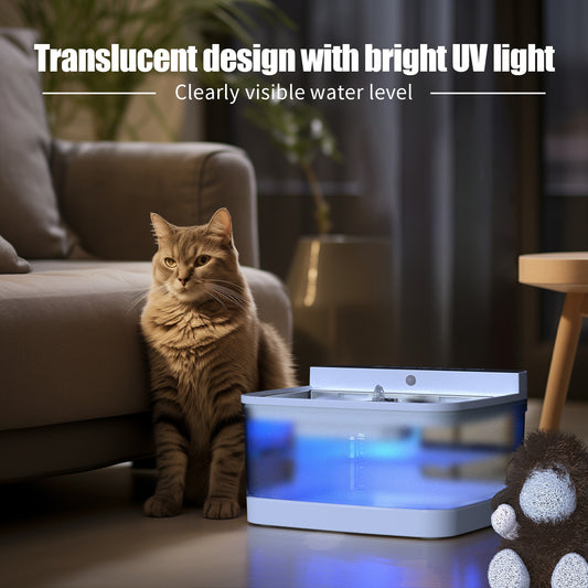 Pet water dispenser in use on kitchen floor