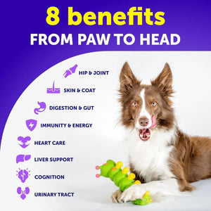 Chewable Dog Multivitamins