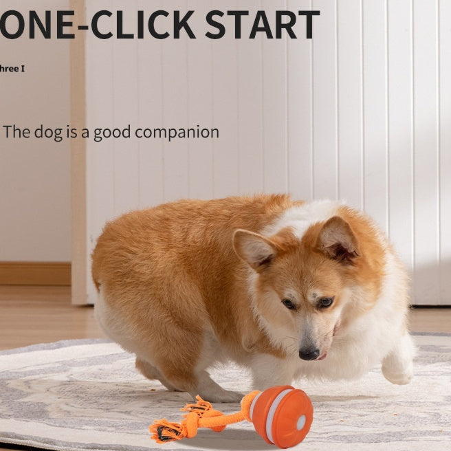 interactive dog ball toy auto rolling