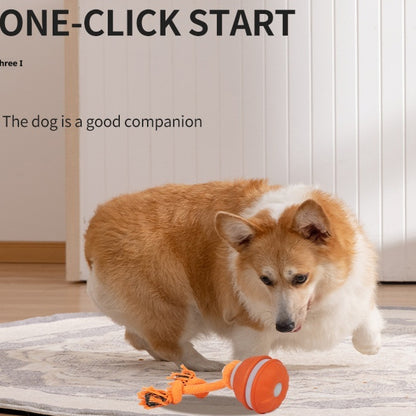 interactive dog ball toy auto rolling