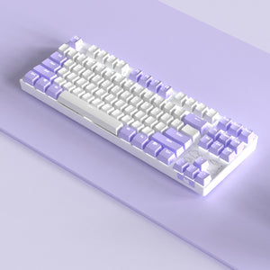 Wireless Mechanical Keyboard