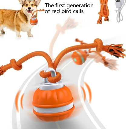 interactive dog ball toy auto rolling