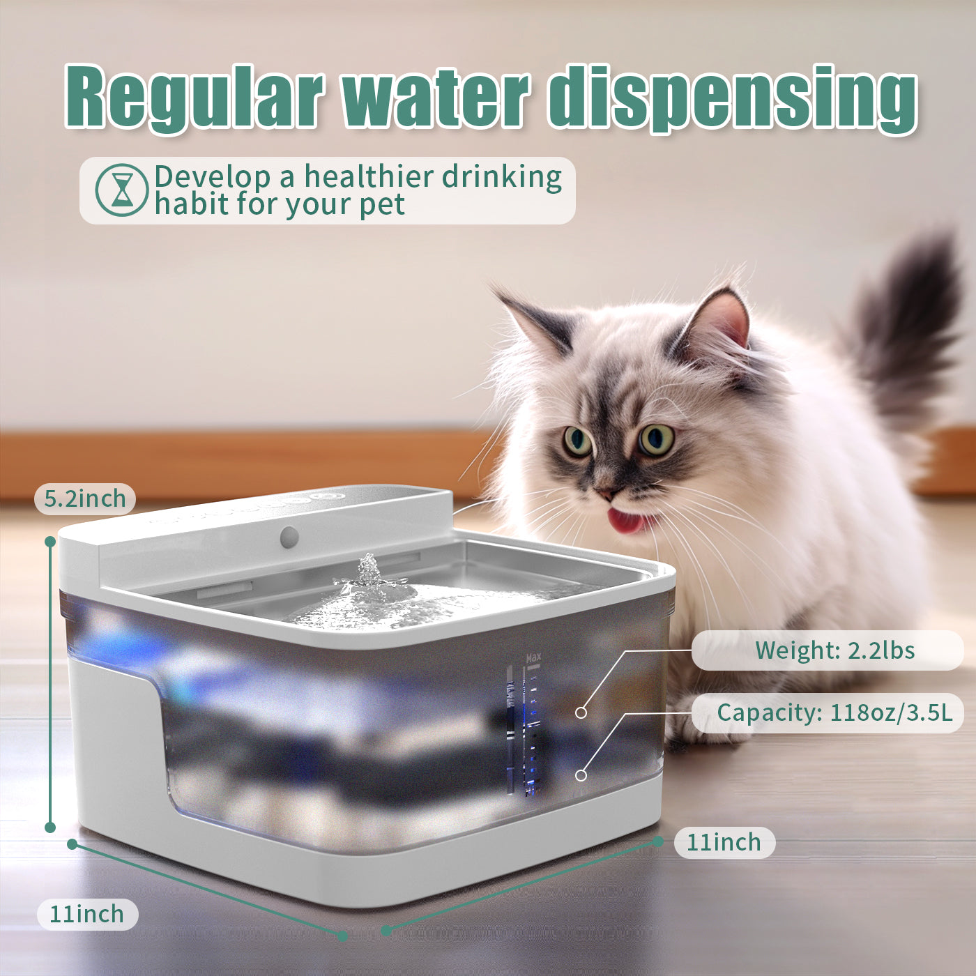 Pet water dispenser in use on kitchen floor
