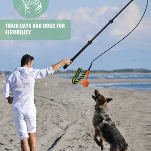 Retractable Dog Training Stick | Interactive Play & Exercise Toy