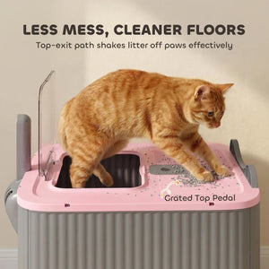 Enclosed Cat Litter Box with Top Exit & Odor Control