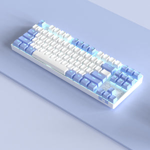 Wireless Mechanical Keyboard