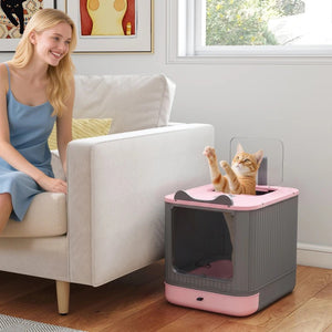 Enclosed Cat Litter Box with Top Exit & Odor Control