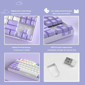 Wireless Mechanical Keyboard