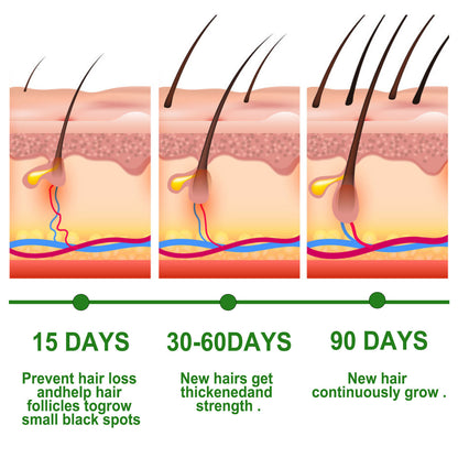 Illustration showing hair growth stages at 15 days, 30-60 days, and 90 days highlighting rosemary hair oil benefits.